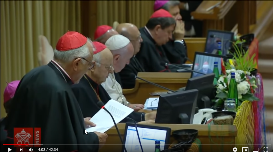 sesion final del sinodo - clausura