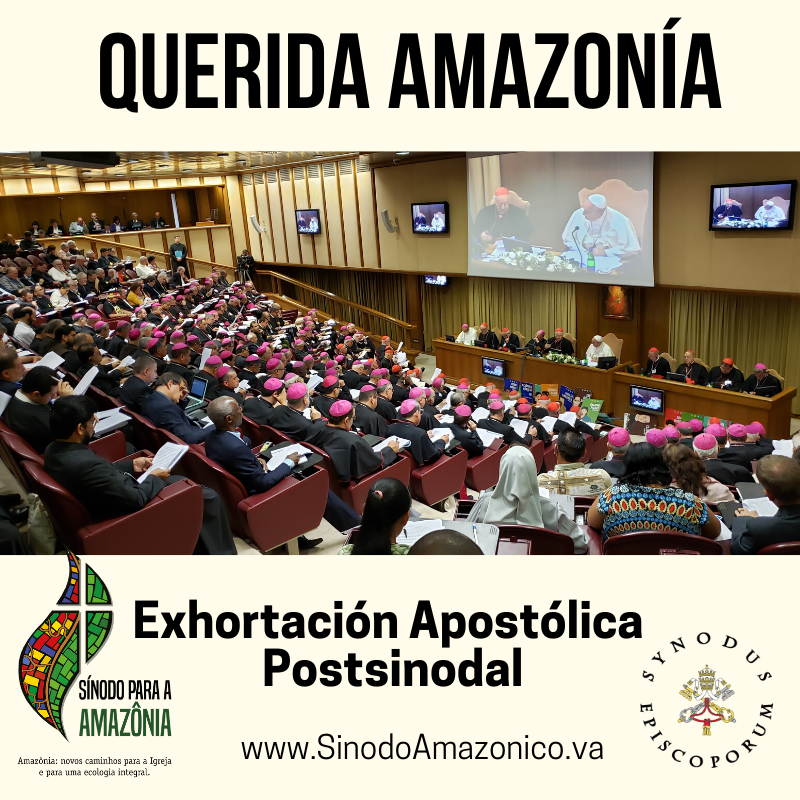 exhortacion apostolica post-sinoda querida amazonia