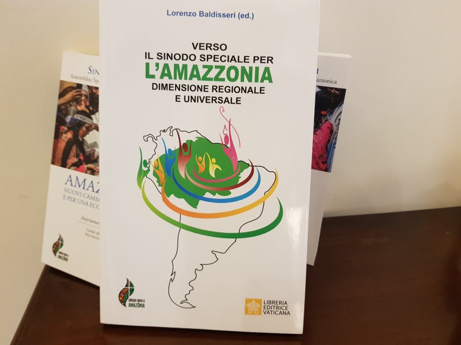 libro sobre el sinodo de la amazonia 2019