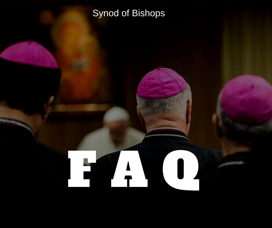 frequent ask question synod of bishop