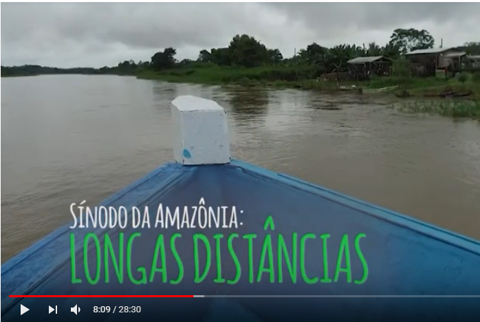 rede vida programa sinodo da amazonia